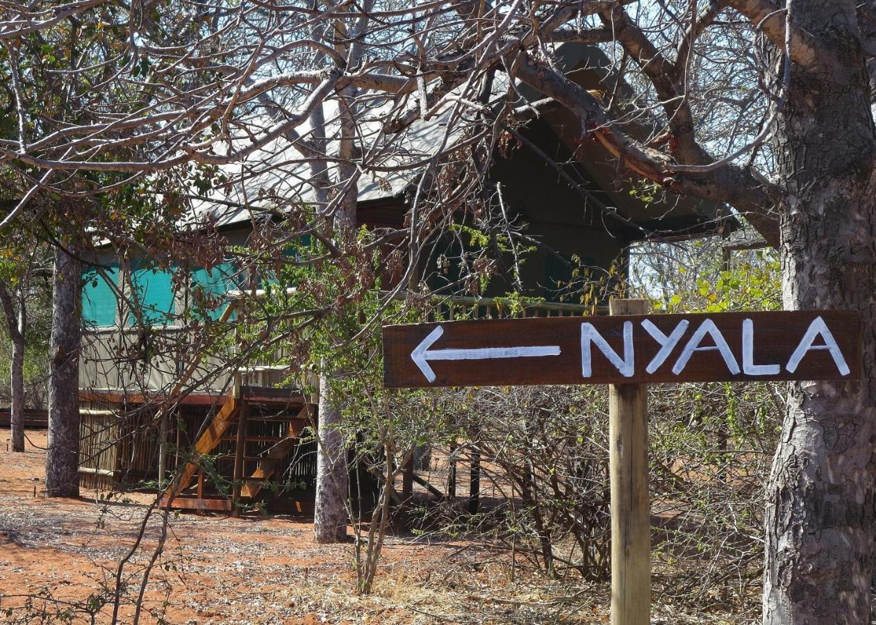 Iphofolo Lodge & Tented Camp Vivo 외부 사진