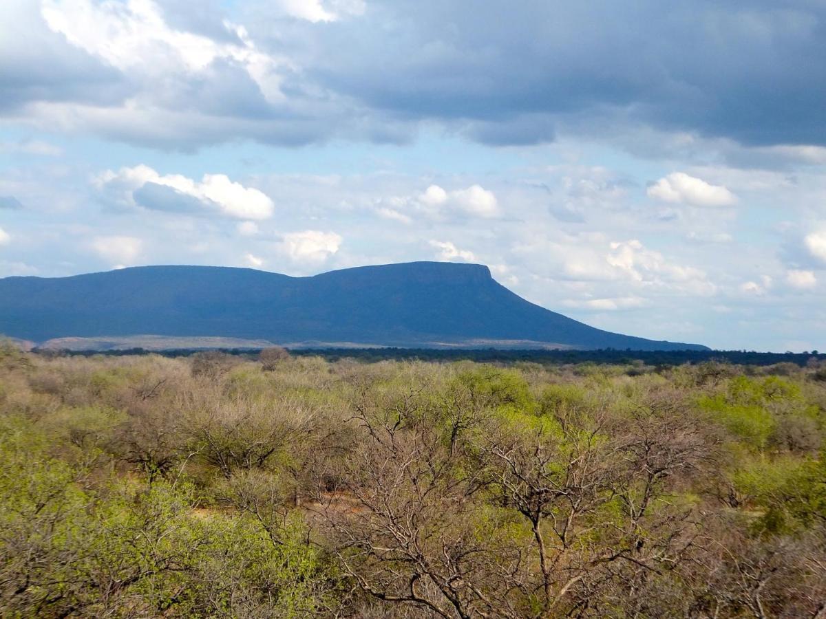 Iphofolo Lodge & Tented Camp Vivo 외부 사진