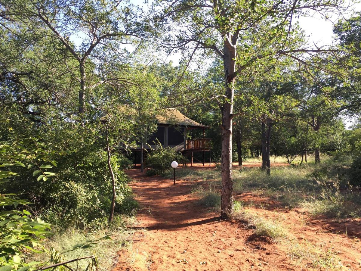 Iphofolo Lodge & Tented Camp Vivo 외부 사진