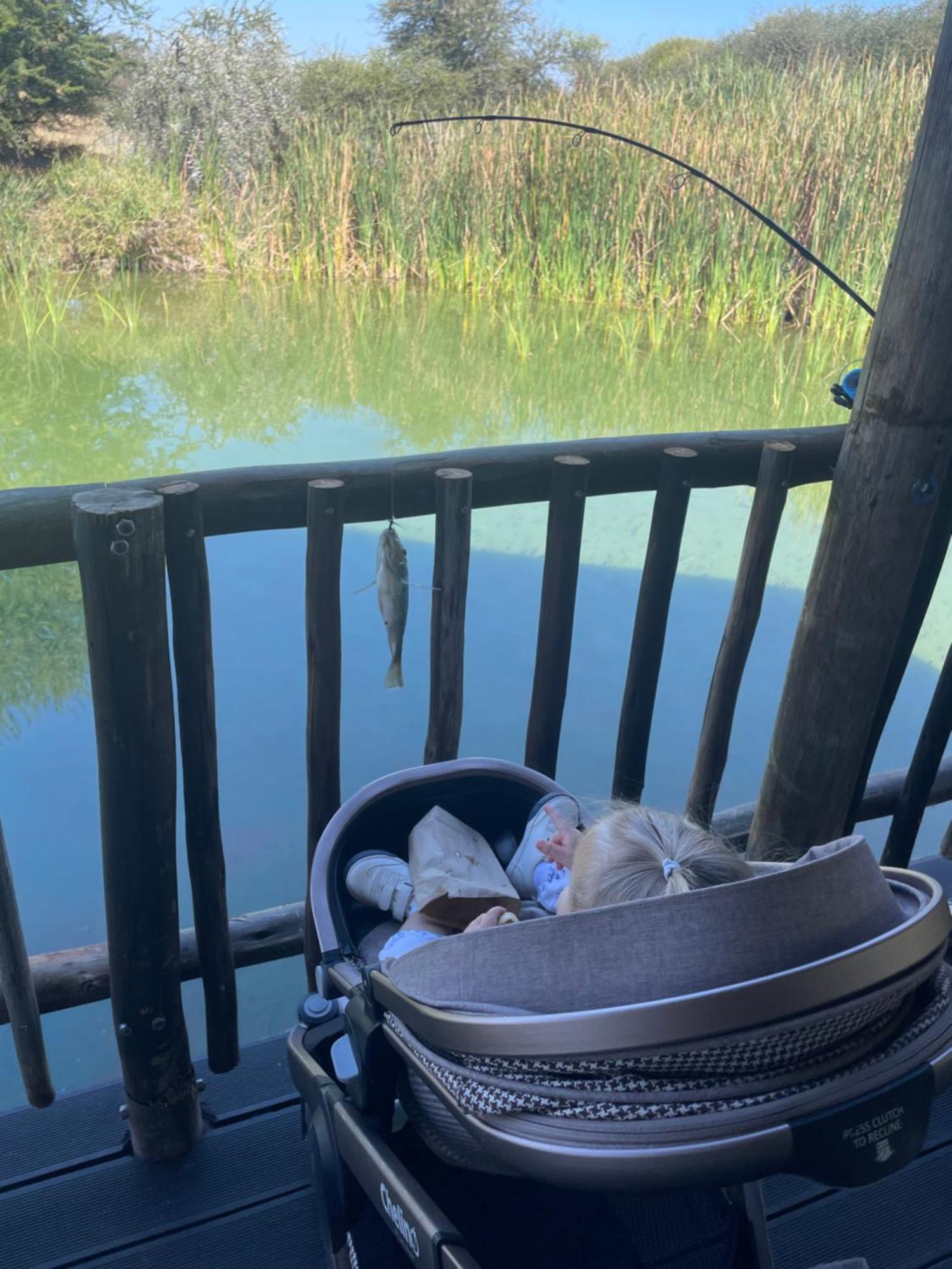 Iphofolo Lodge & Tented Camp Vivo 외부 사진