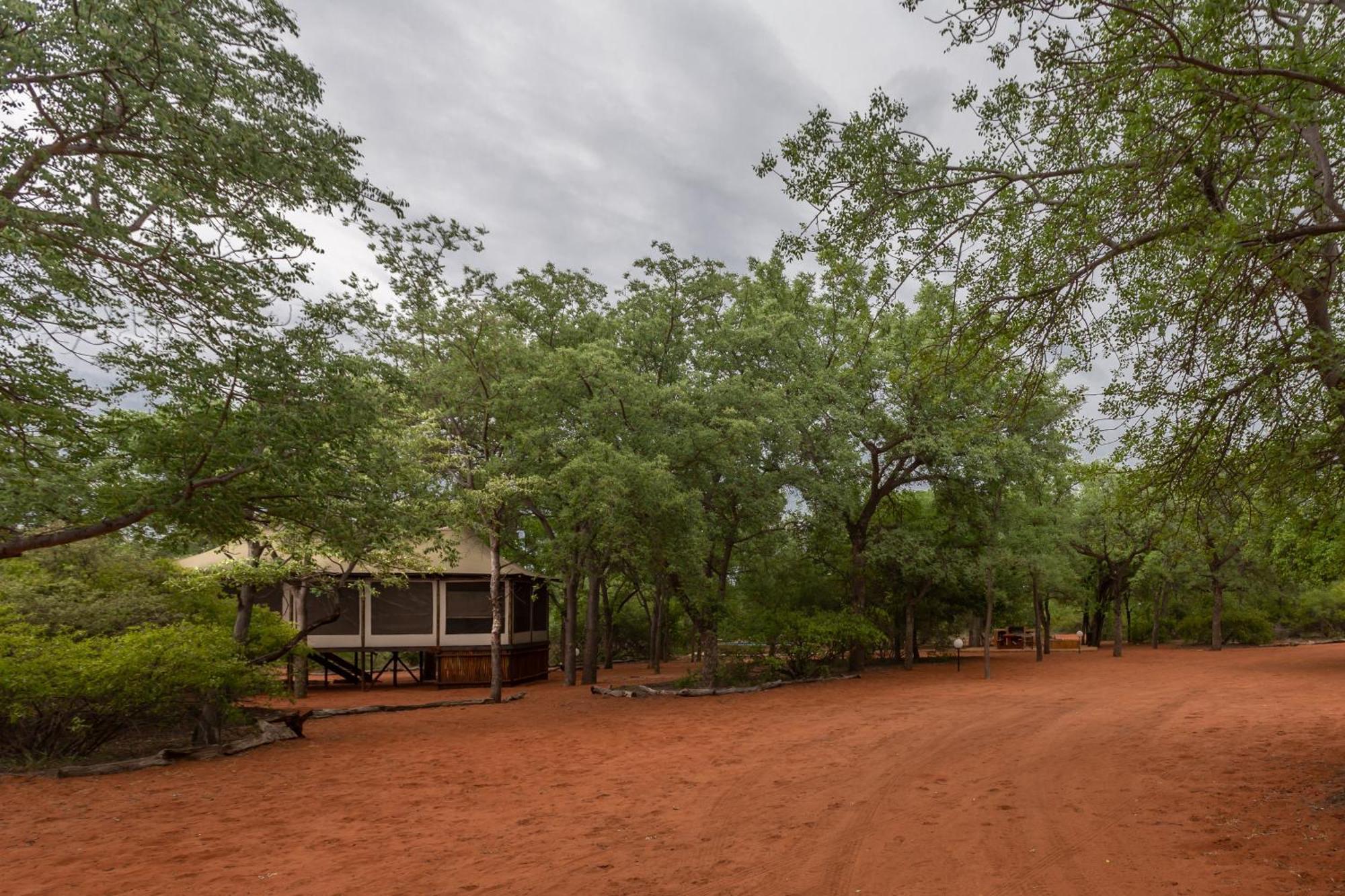 Iphofolo Lodge & Tented Camp Vivo 외부 사진