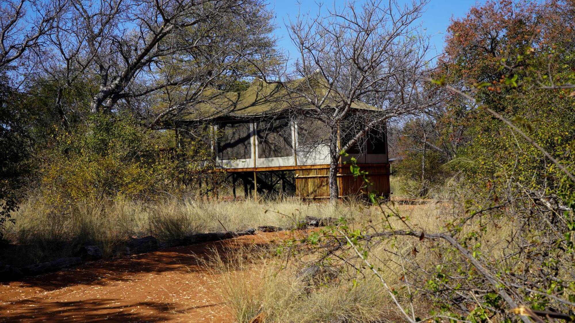 Iphofolo Lodge & Tented Camp Vivo 외부 사진