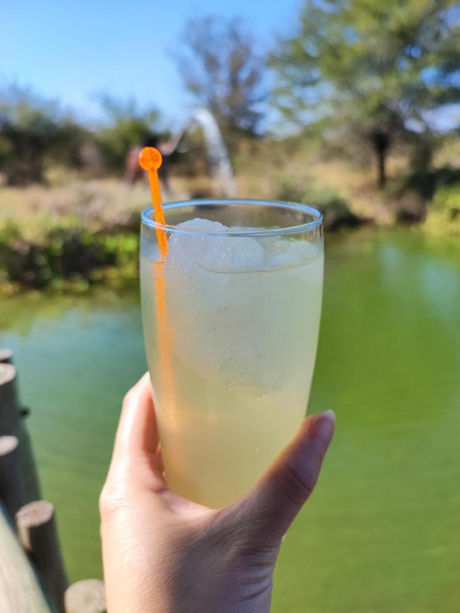 Iphofolo Lodge & Tented Camp Vivo 외부 사진